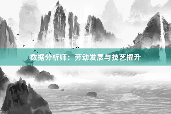 数据分析师：劳动发展与技艺擢升